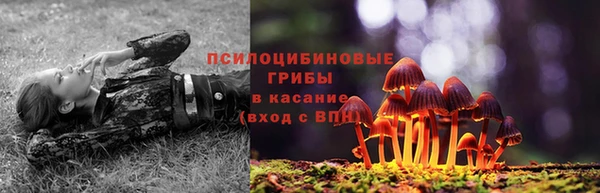 ALPHA PVP Баксан