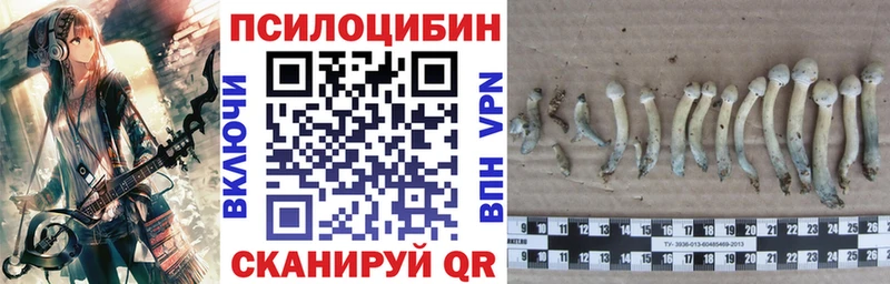 Галлюциногенные грибы Psilocybine cubensis  blacksprut онион  Белёв 
